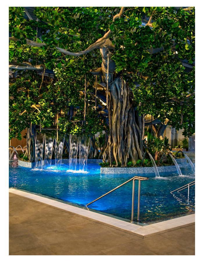 טימישוארה Amazonia Apartments מראה חיצוני תמונה