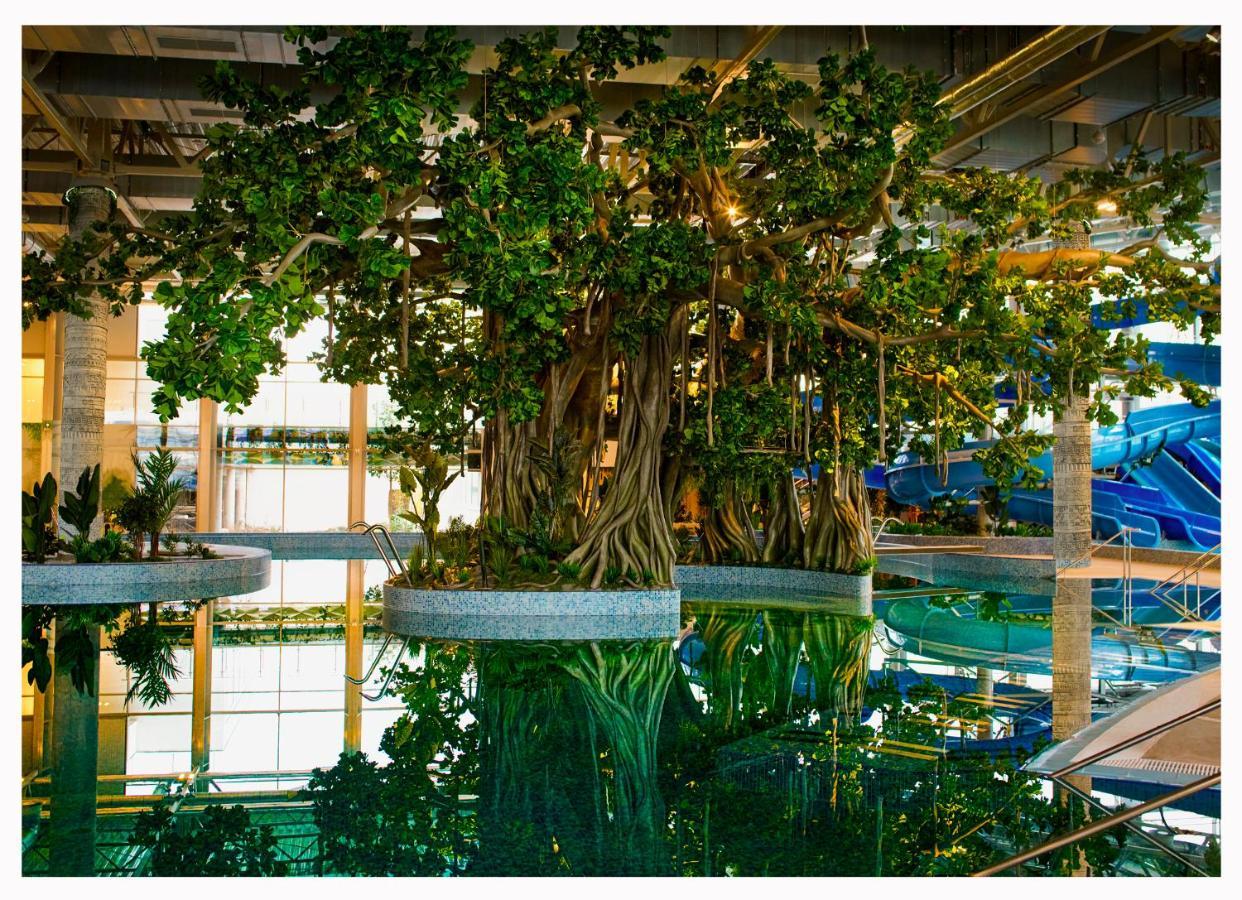 טימישוארה Amazonia Apartments מראה חיצוני תמונה